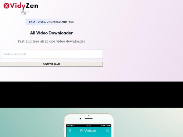 vidyzen.com